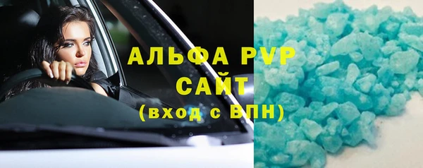 прущие грибы Балабаново