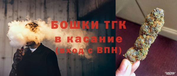 прущие грибы Балабаново