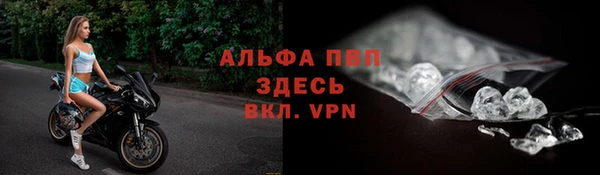 спайс Баксан