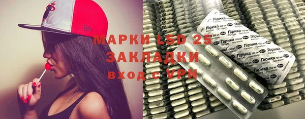 прущие грибы Балабаново