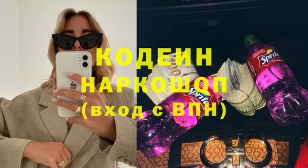 прущие грибы Балабаново