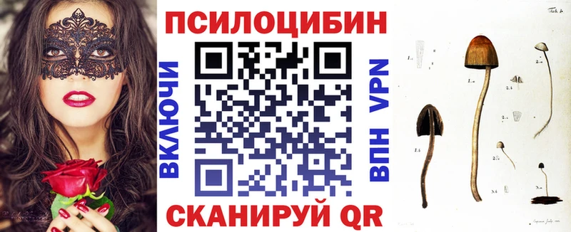 Псилоцибиновые грибы прущие грибы  дарк нет состав  Сухой Лог  где купить  